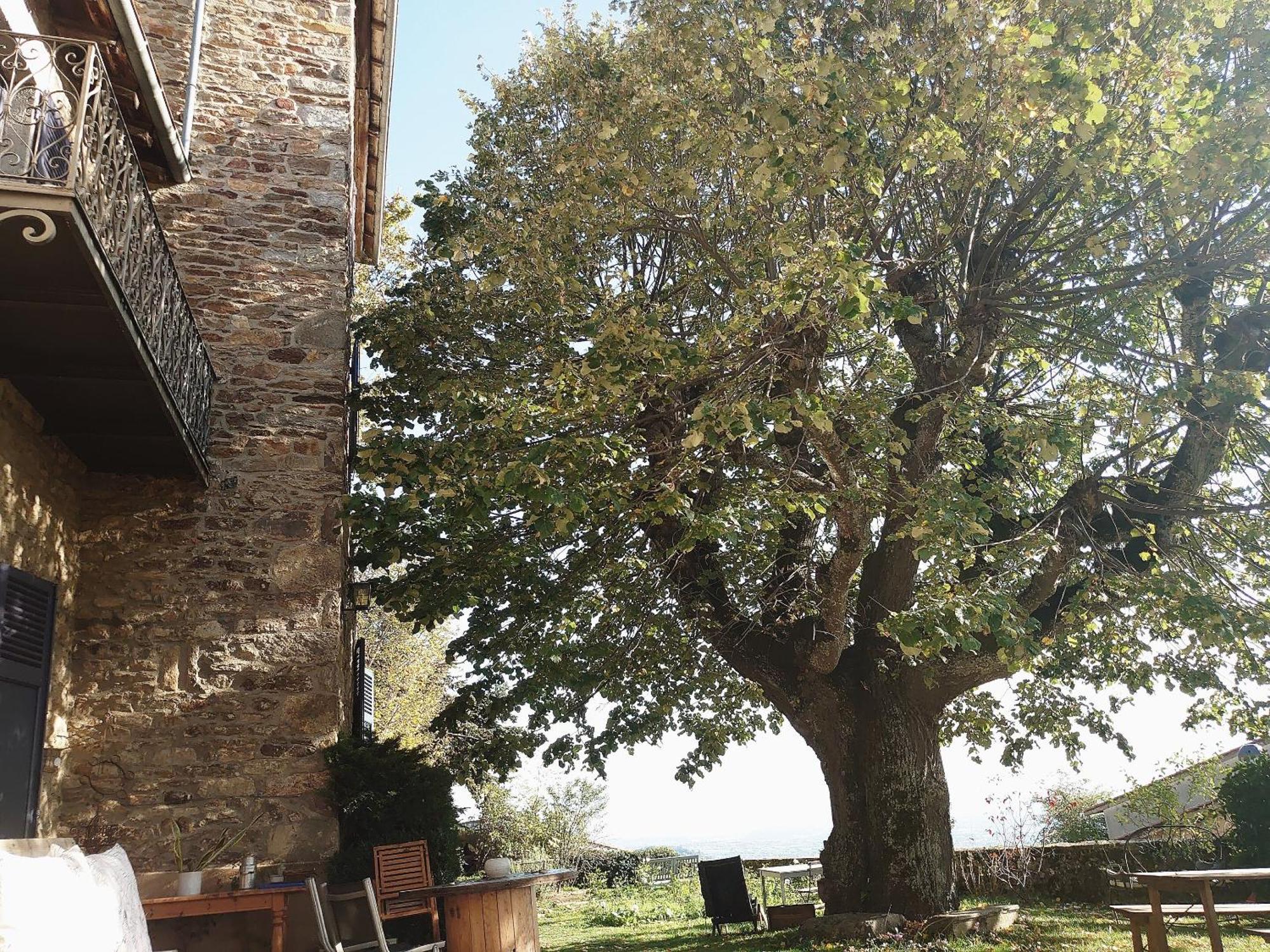 Chateau De Riverie Chambres Et Table D'Hotes Exteriér fotografie